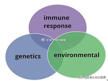 运动医学膝关节康复学知识,有关运动康复的知识