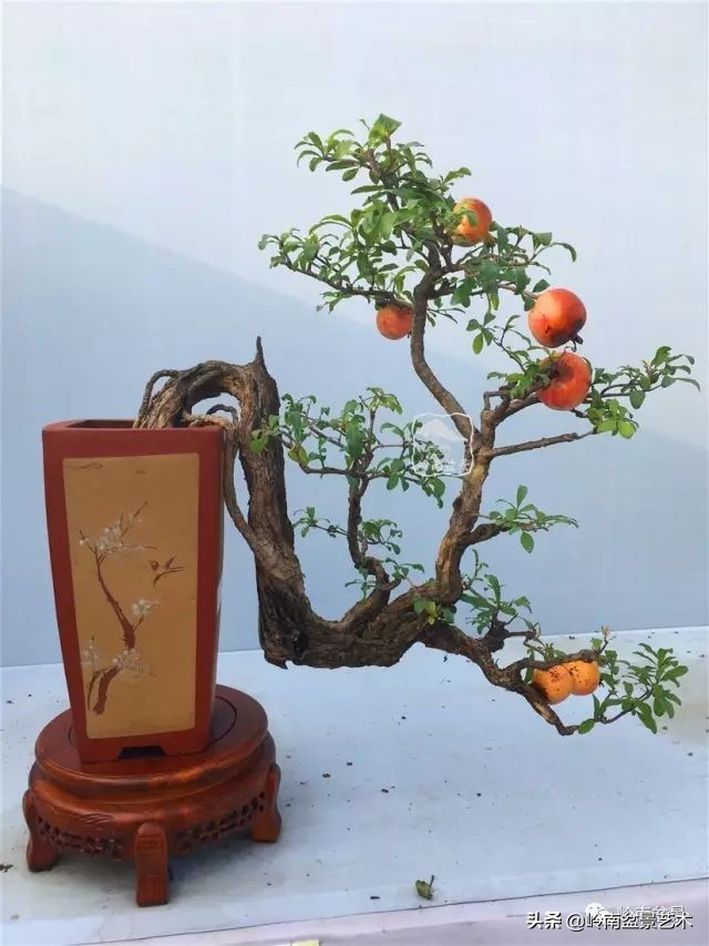 鎮礀缁濆閫㈢敓,鎮礀鐩嗘櫙澶у叏