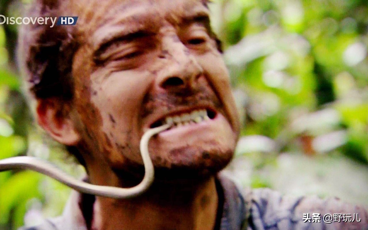 冲锋衣三合一discovery,贝爷穿的户外冲锋衣什么品牌