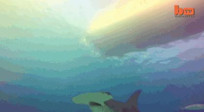 73岁老人被狼追杀,人类被鲨鱼猎杀的惊恐瞬间