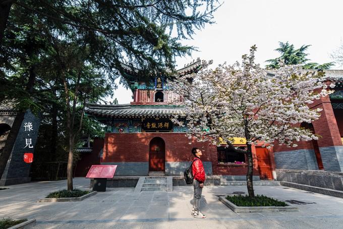 河南郑州市中心旅游,河南七日游经典路线推荐