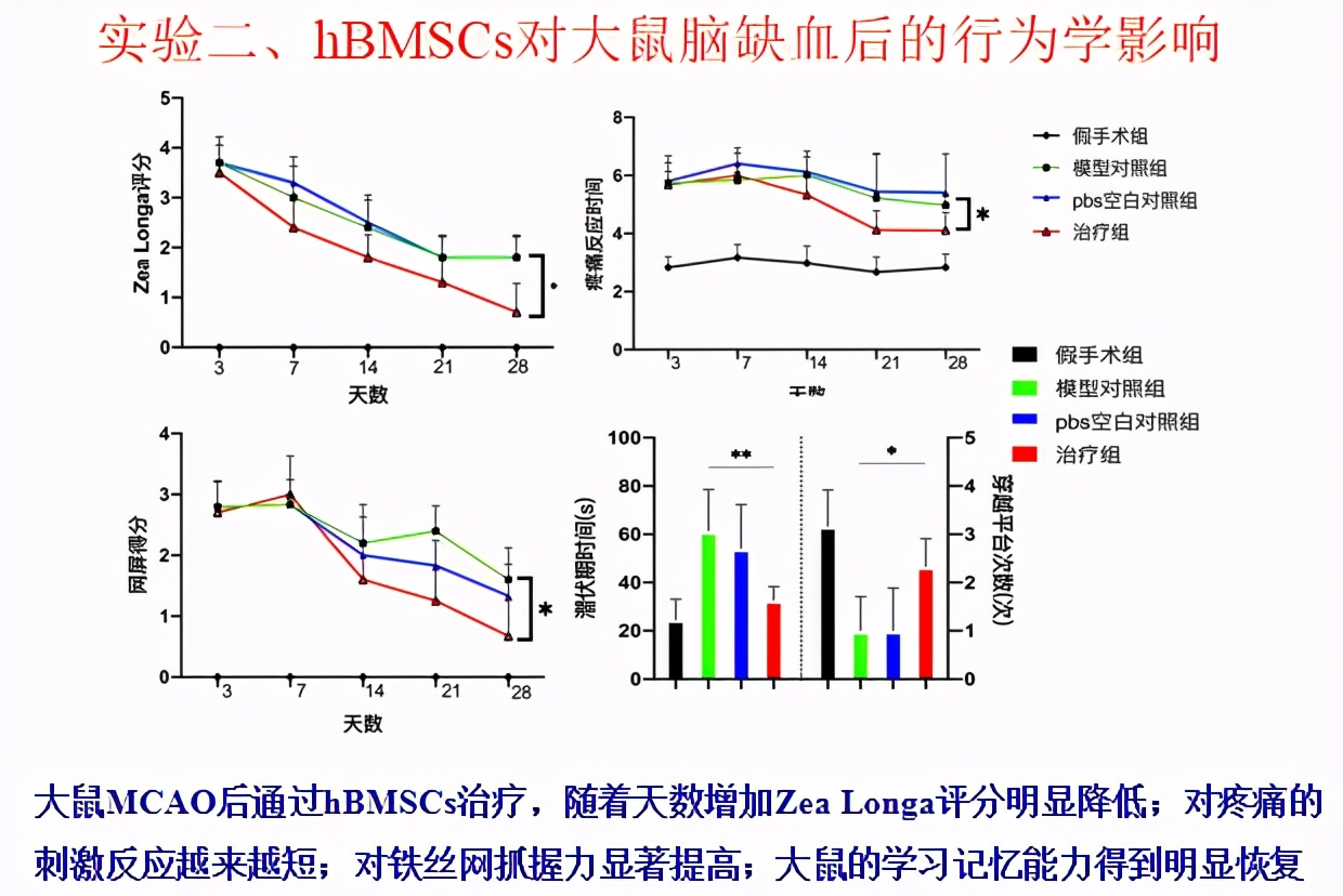 自体造血干细胞能治疗什么病,干细胞治疗脑卒中医院