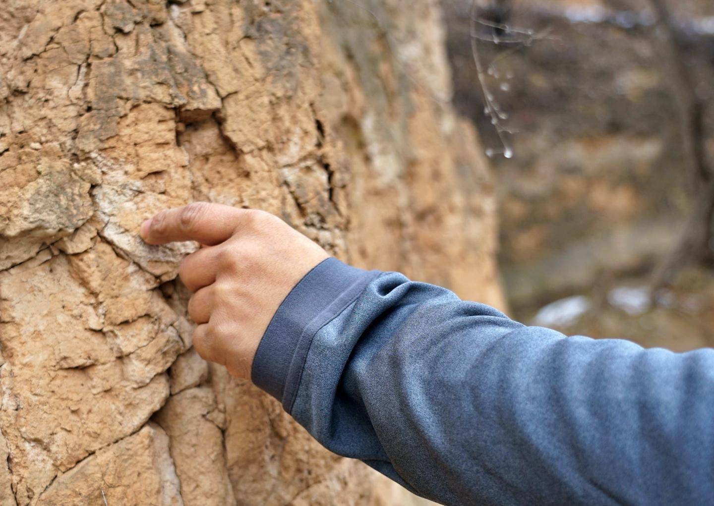 adidas连帽夹克男款白色,阿迪达斯terrex外套夹克