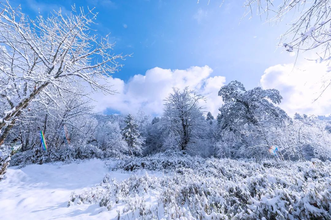 成都附近看雪一日游推荐表,成都周边轻徒步玩雪一日游