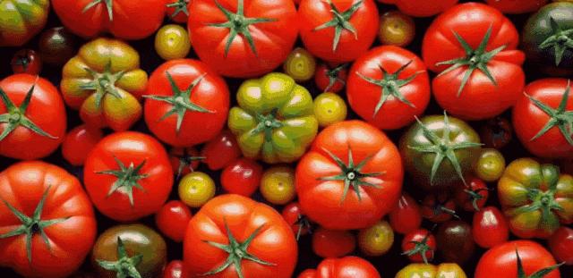 刷牙如何解决口臭,每天坚持两次刷牙多久能解决口臭