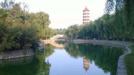 河北发展最好的乡镇,河北最强乡镇