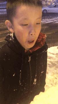 搞笑动图gif狗,搞笑动图gif沙雕