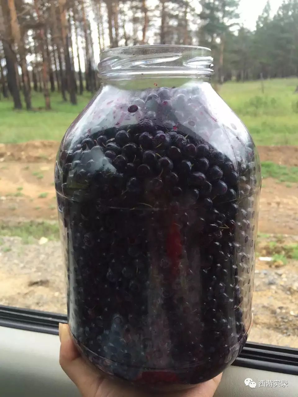 这女孩看到俄罗斯帅哥搭车，逼我停车，否则跳车