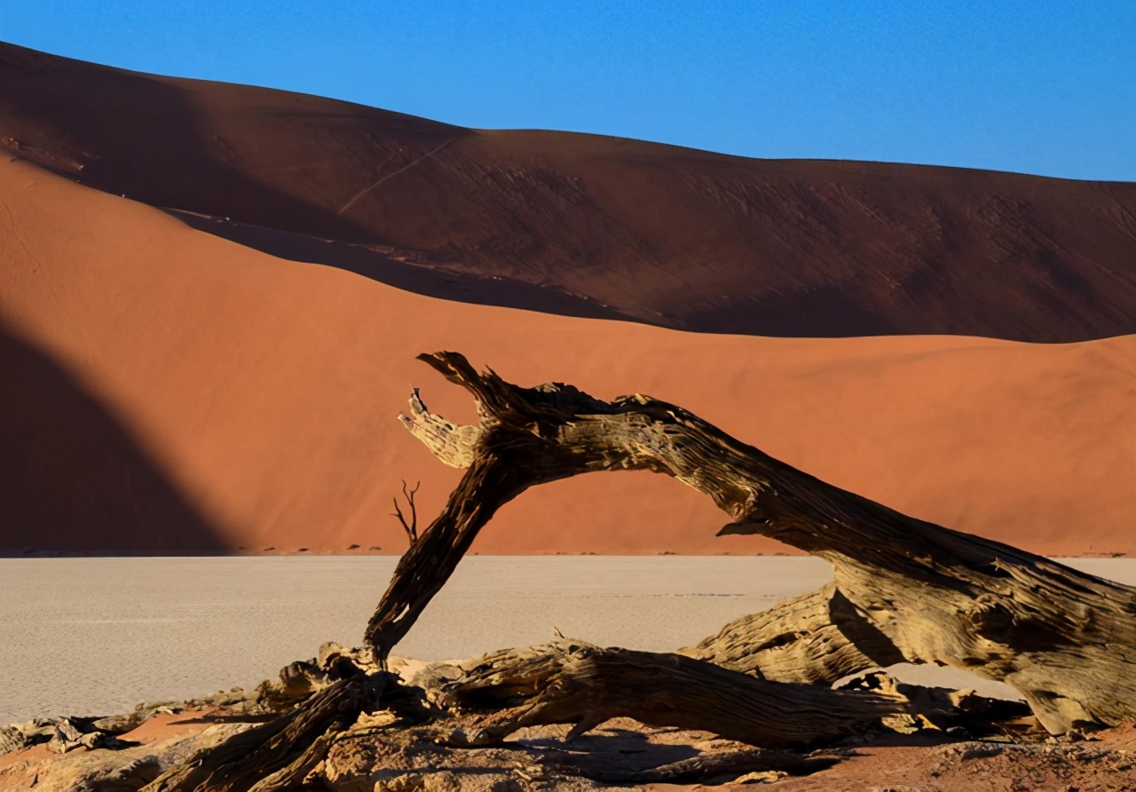 全球公认的四大生命禁区,世界上最可怕的五大生命禁区