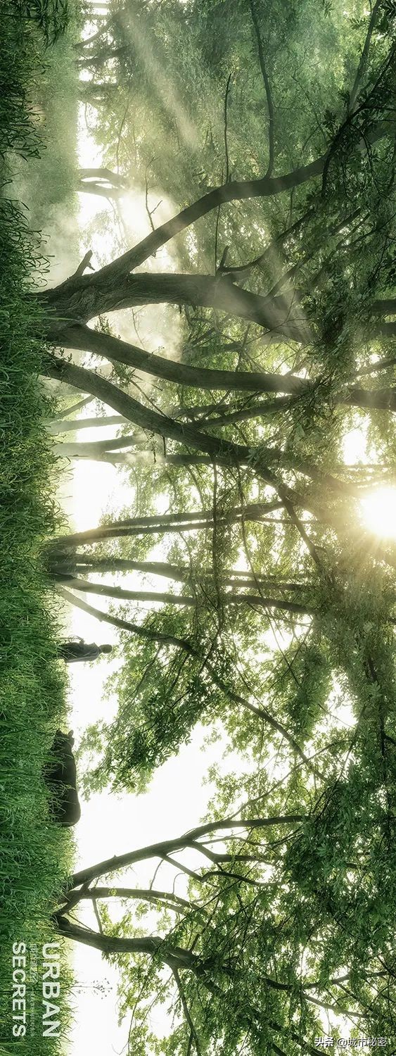 富阳是什么之乡,富阳原来属于哪个市