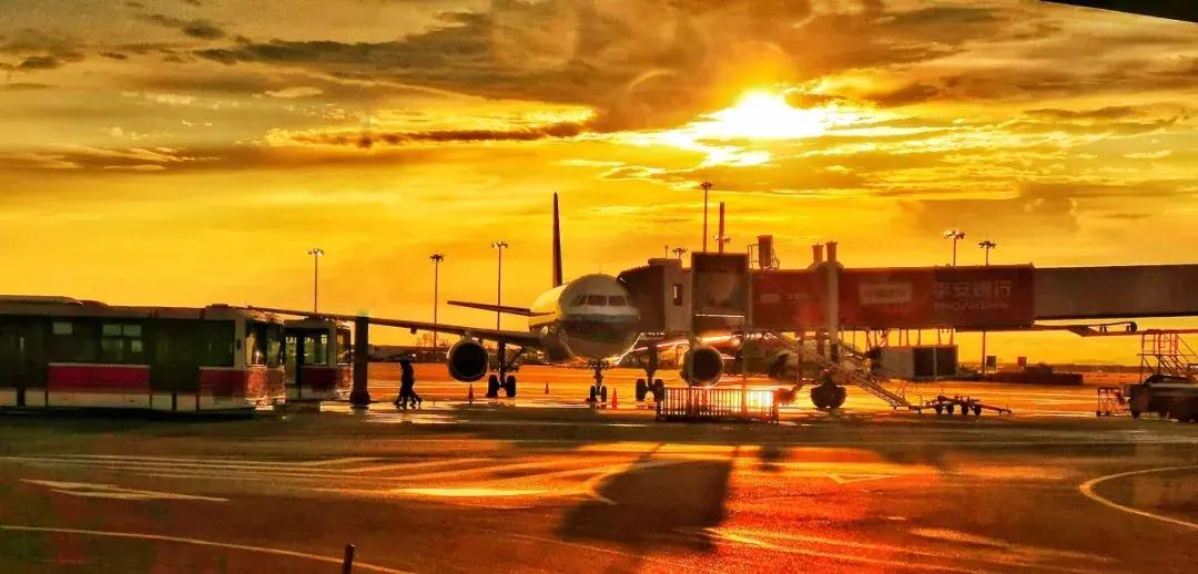 手机拍出的美照,原来用手机就能拍出这么美的照片