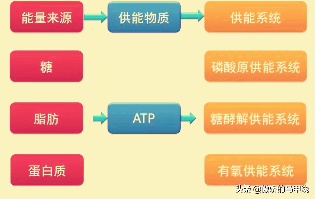如何提高自己的跑的速度,跑前如何准备可以跑得最快