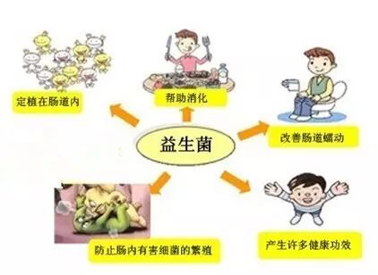 适合长期吃的益生菌有哪些,健康微生态益生菌有哪些