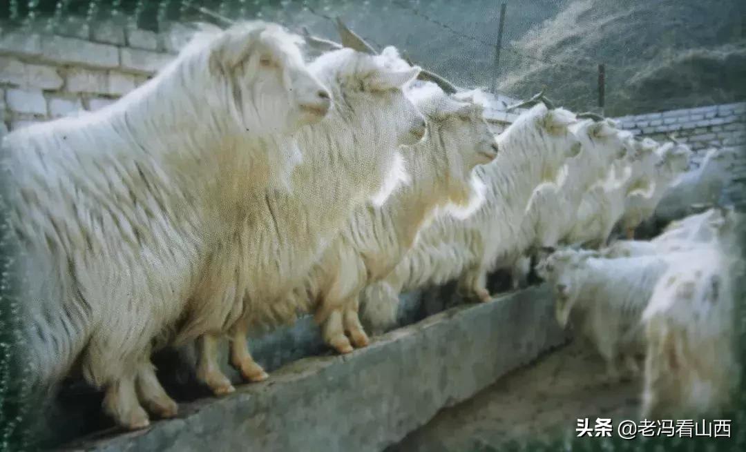 【山西】历史重镇奋进岢岚