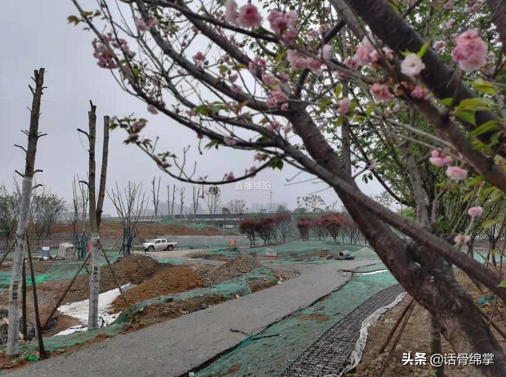 水上散步花中游玩~今年10月，安州生态绿廊示范区与你有约