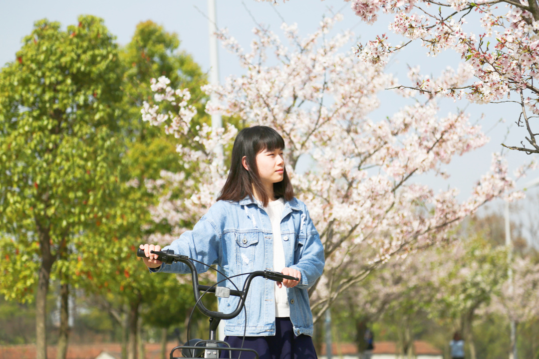 武汉外语外事职业学院手册,武汉外语外事职业学院官网是什么