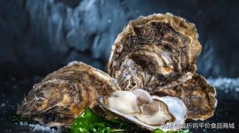 现在的牡蛎可以吃吗,牡蛎可以生吃的有哪些