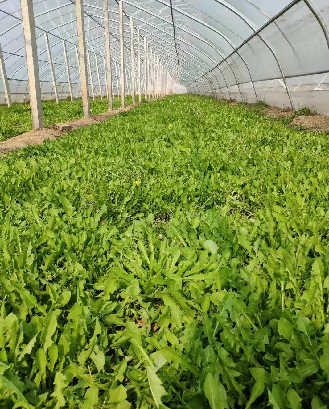 上新啦！震撼嘉宾携手好青年直播带货，你准备好了吗？