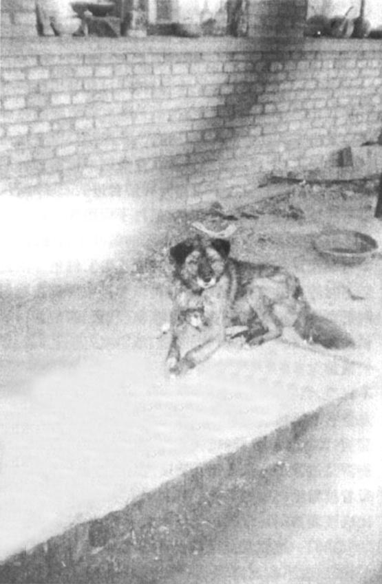 广灵一日游最佳路线图,广灵旅行