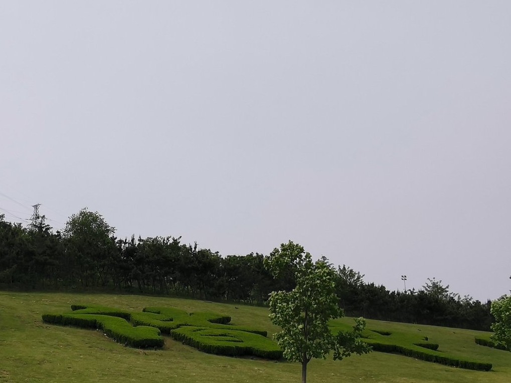 青岛高新区的公园让人们享受,青岛有个特别美的地方