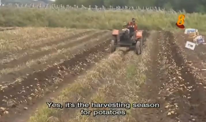 在中国最受欢迎的俄罗斯商品,俄罗斯商品在中国受欢迎