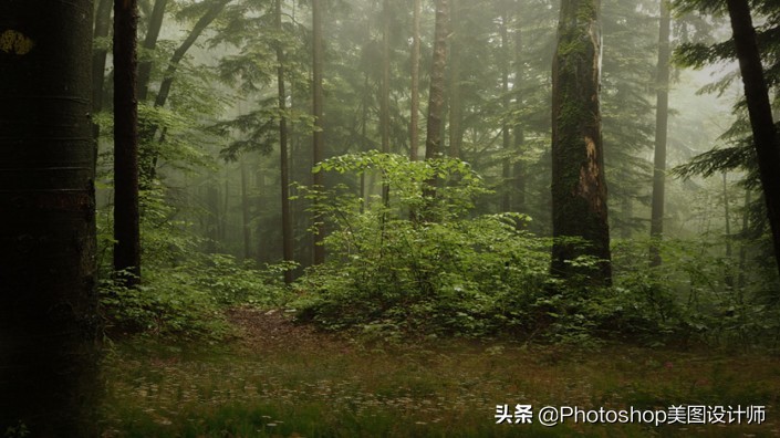 新手怎么快速学会ps,新手如何学习ps