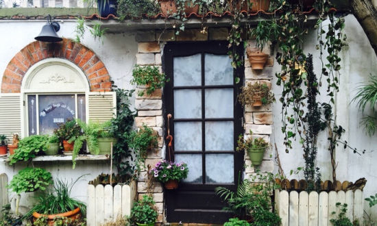 上海七宝老街图集,被历史遗忘的上海老街