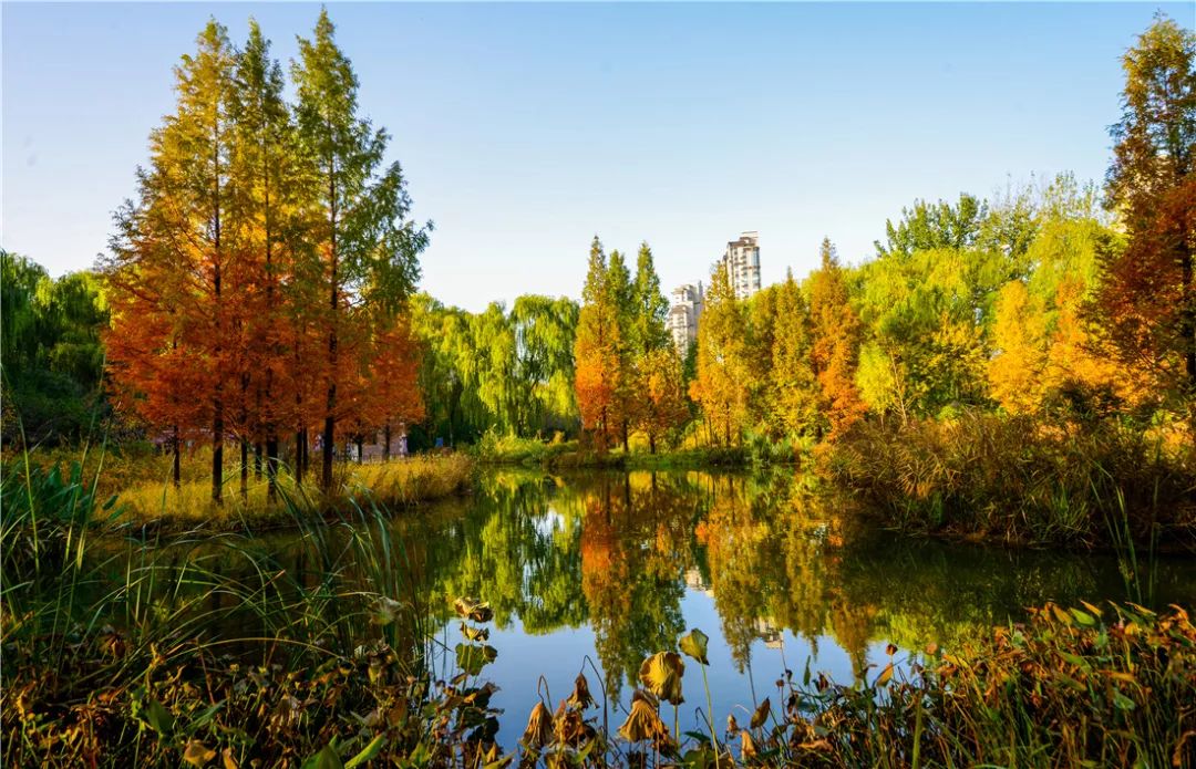 夏日好去处济南森林公园,济南森林公园雪景
