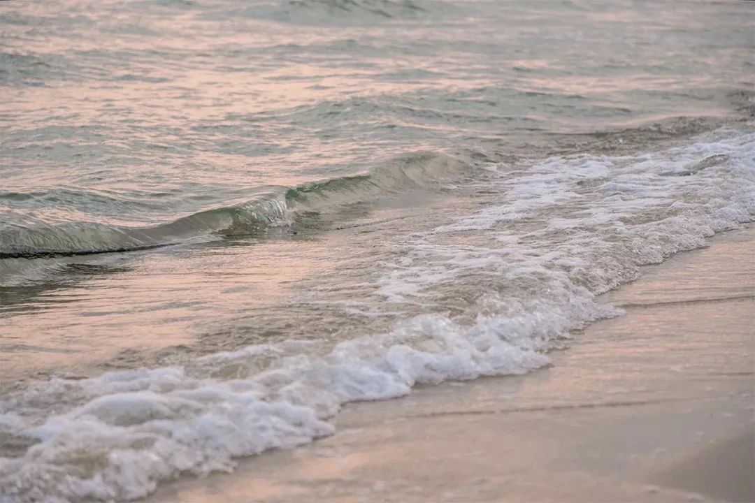 深圳旅游好去处推荐,深圳宝安区周末休闲浪漫好去处