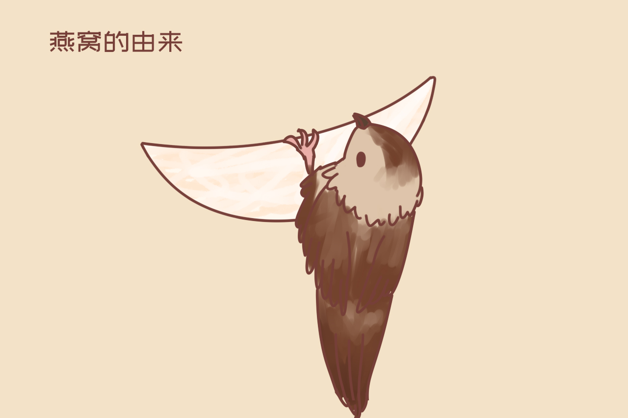 孕妇吃燕窝可以安胎吗,吃燕窝真的不如吃鸡蛋吗