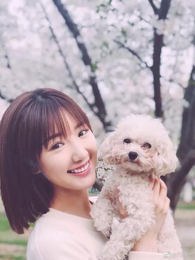 明星的发型是什么发型,明星发型男2020流行发型