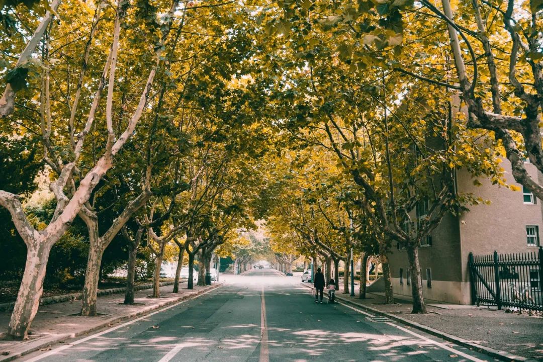 美过三亚!比厦门浪漫!中国这座海滨老城,去一次相当于环游世界