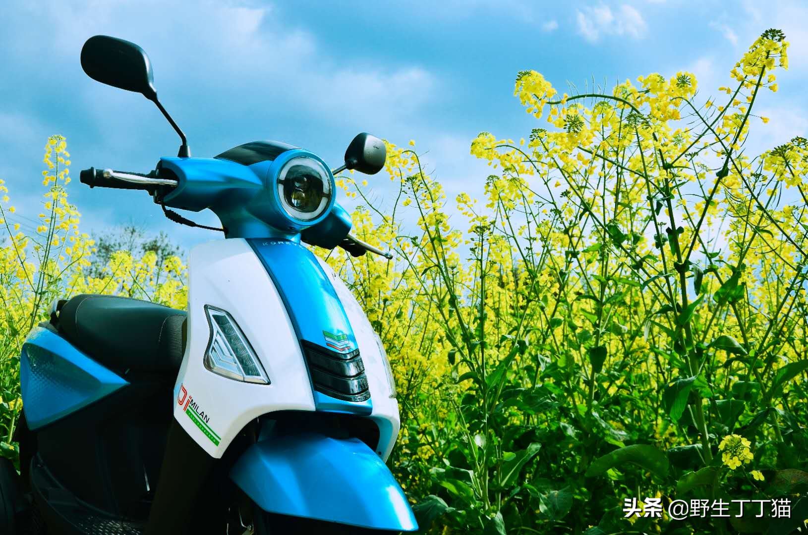 广本万强摩托车抖音,广本万疆摩托车