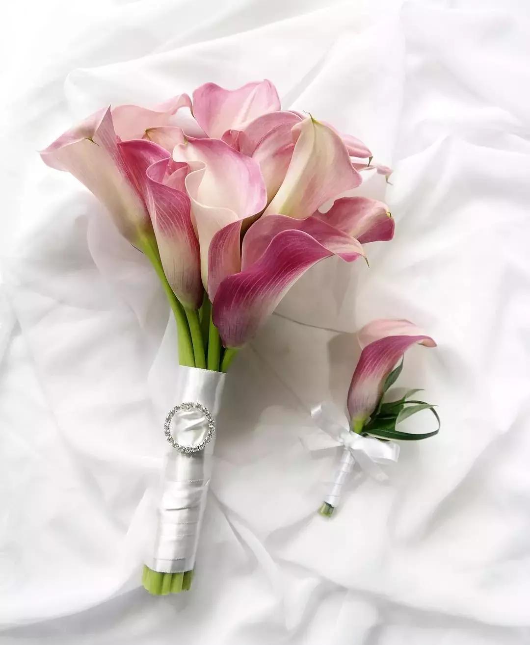 马蹄莲插花怎么养时间长,马蹄莲鲜花养护