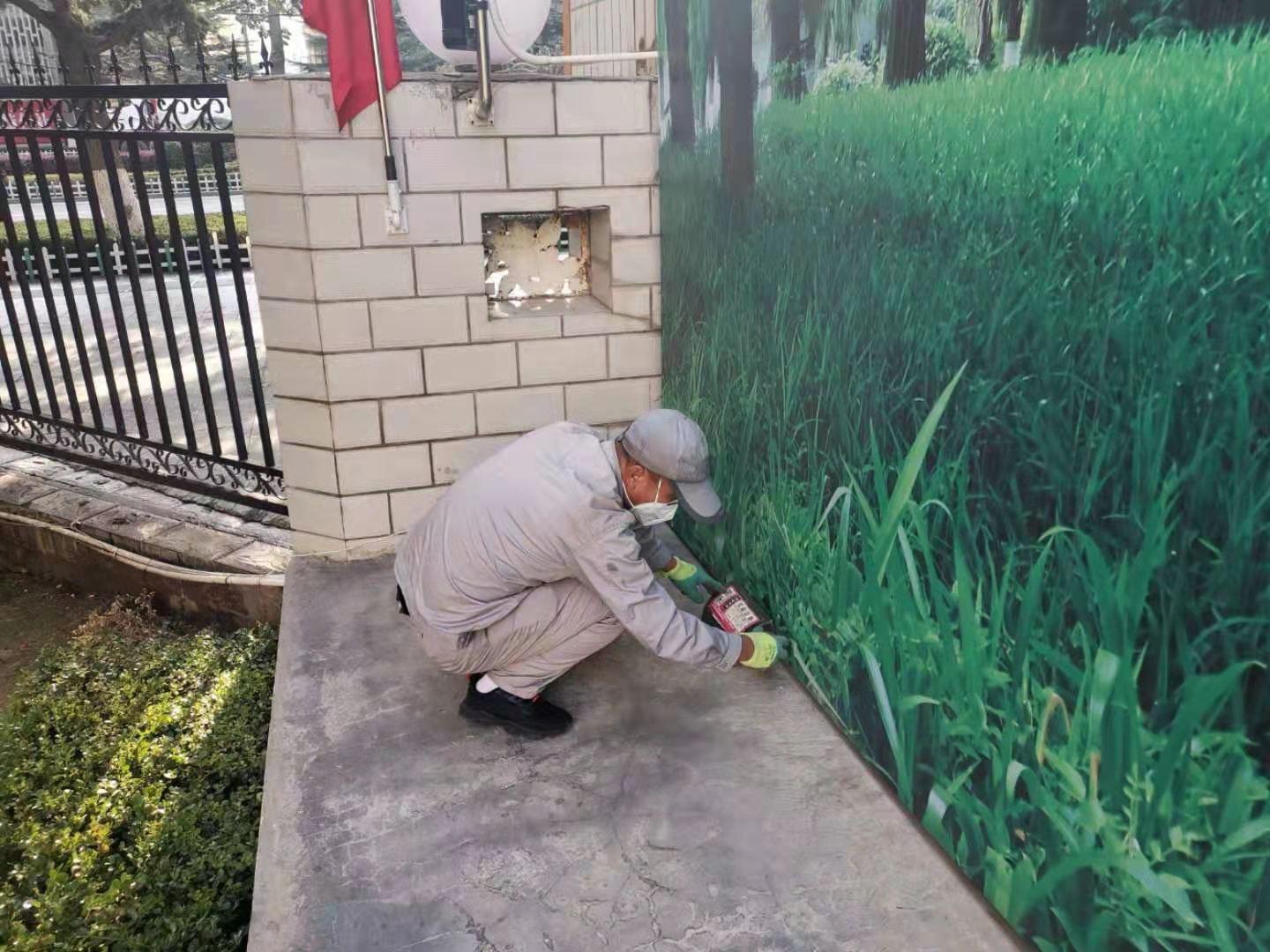 广州办公楼四害消杀附近公司,江门办公楼四害消杀专业团队