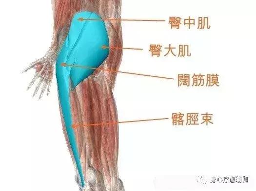 瑜伽半莲花盘坐方式,瑜伽莲花盘坐脚踝很疼