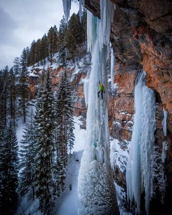 桂枝茯苓丸竟然有这样的“副作用”，对皮肤太好！
