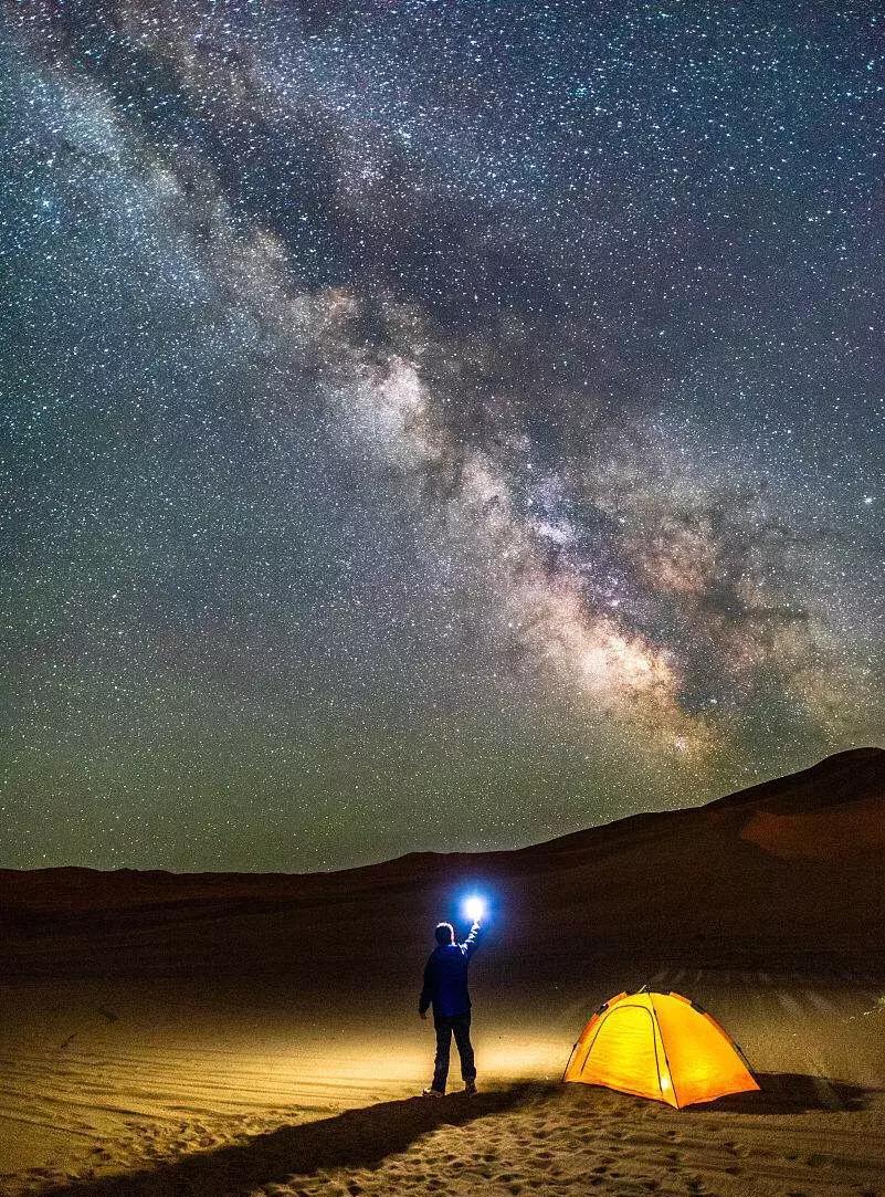 腾格里沙漠骆驼原版,腾格里沙漠骆驼