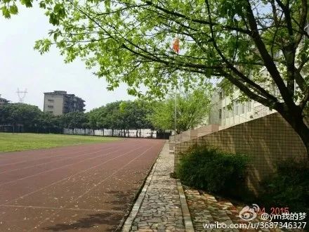 五通桥中学现状,五通桥中学回忆
