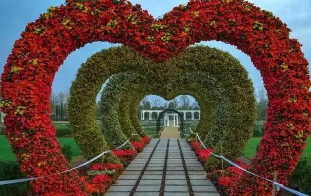 江西抚州最近的消息,抚州市最新消息今天