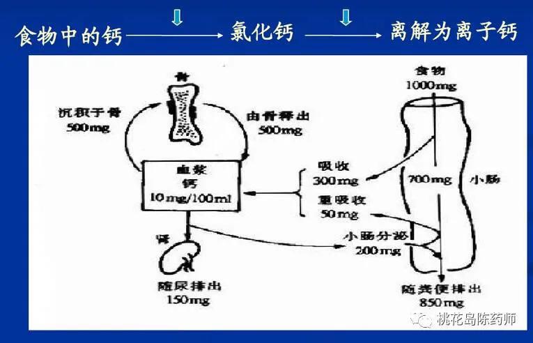 如何科学补钙更有效,如何科学补钙更利于钙吸收