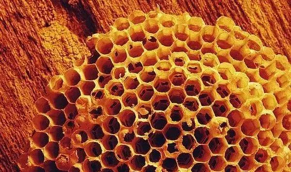 桐油跟水性油漆有什么区别,土漆和桐油的区别