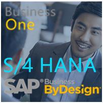 saphana持续创新十周年,saphana