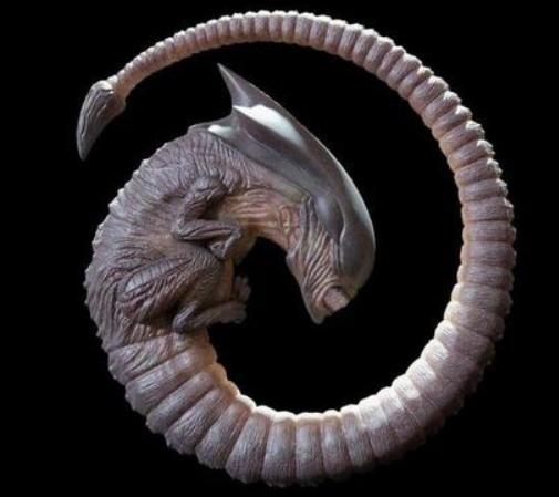 寮傚舰vs閾佽鎴樺＋娣卞害瑙ｈ,涔愰珮閾佽鎴樺＋vs寮傚舰