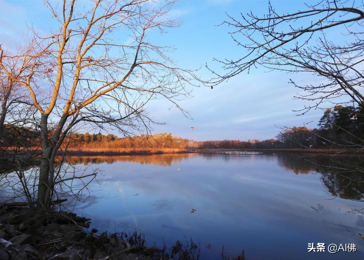 美国各州最适合居住的地方,美国加州适合居住的地