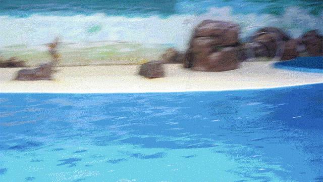 2020儿童滑步车赛事嘉年华,2023中国儿童滑步车超级联赛计划