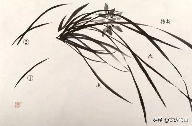 徐湛国画兰花技法教学,国画兰花入门技法