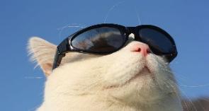 天眼地量战法,天眼地量战法操作要点