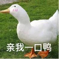 超短波消炎,超短波治疗能够消炎吗