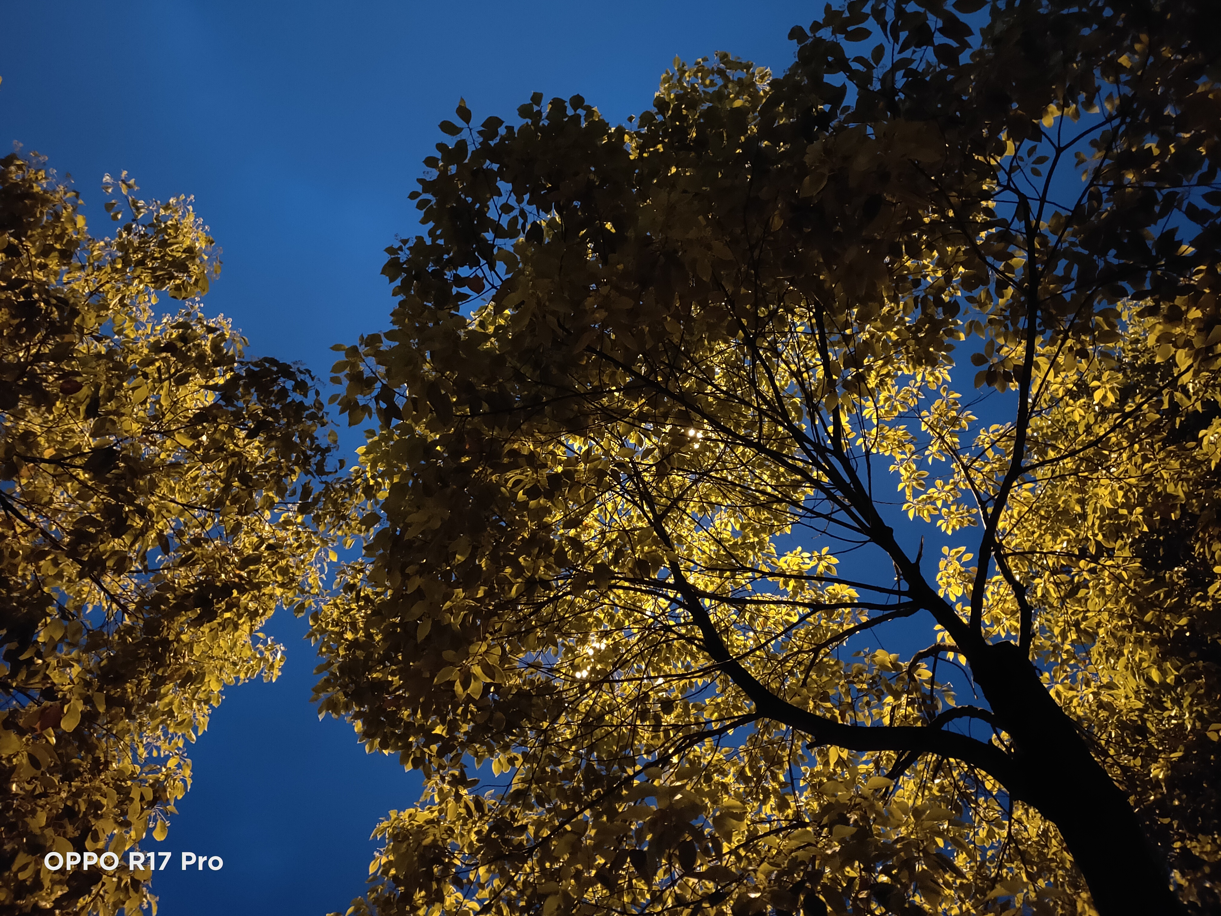 oppo拍照真的比其他手机好吗,oppo手机拍照哪个系列是最好的